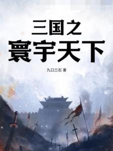 三国之寰宇天下