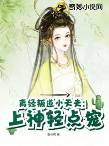 离经叛道小天夫：上神轻点宠